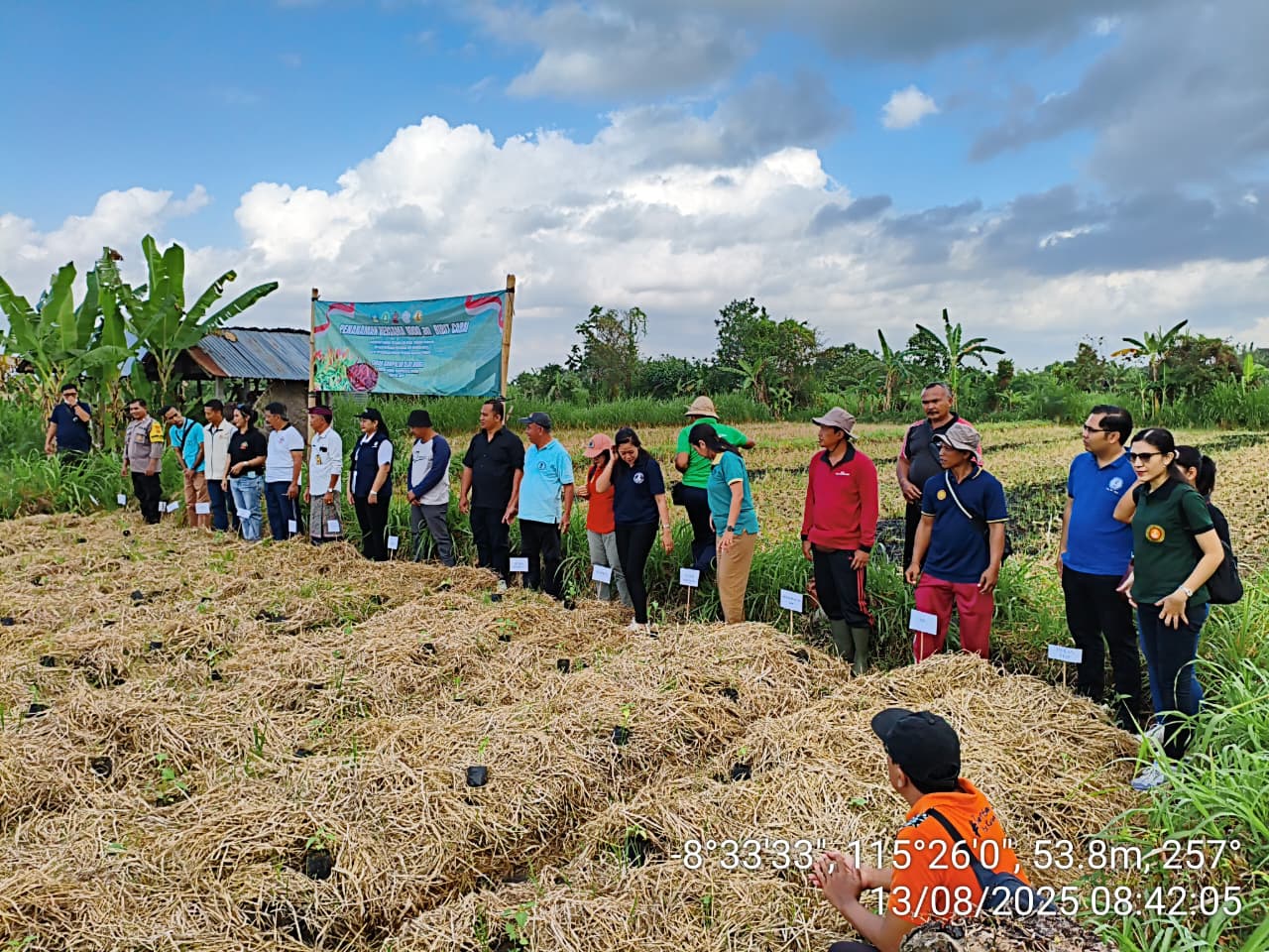 Gerakan Tanam Cabai di Subak Sampalan Dlod Margi, Desa Sampalan Klod, Kecamatan Dawan