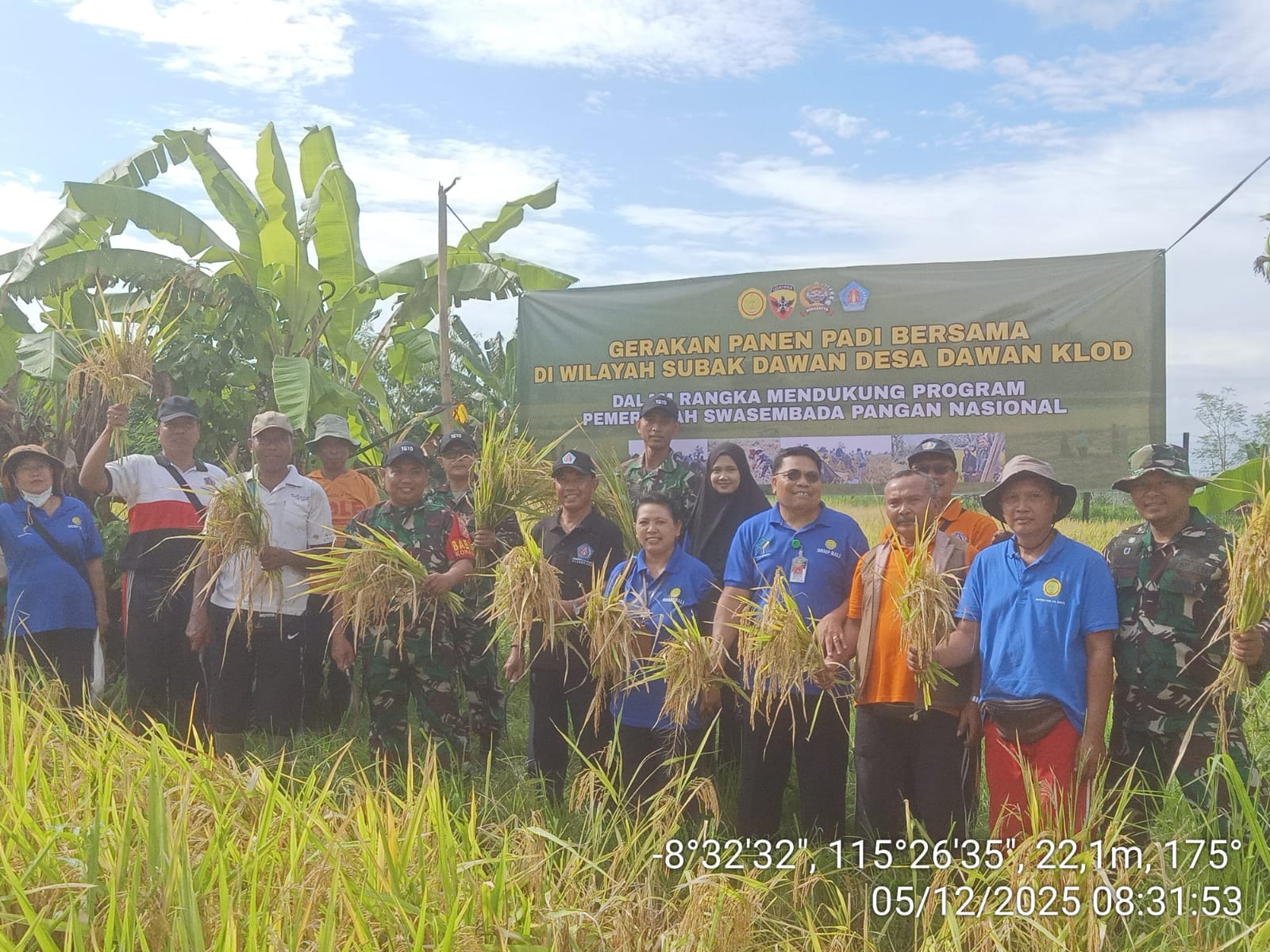 Tingkatkan Swasembada Pangan, Subak Dawan Gelar Gerakan Panen Padi Bersama