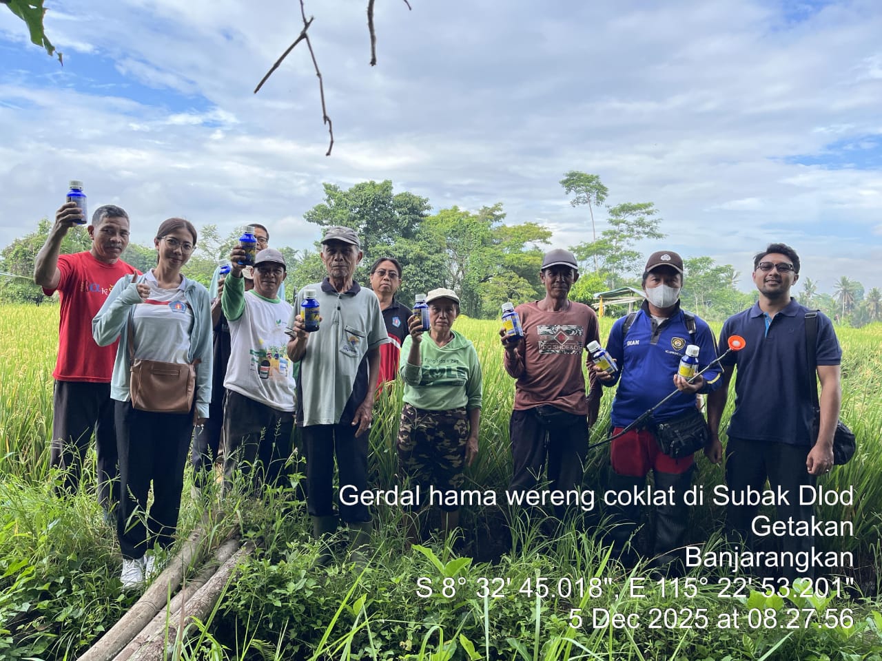 Gerakan Pengendalian Organisme Pengganggu Tumbuhan (OPT) di Subak Dlod Getakan