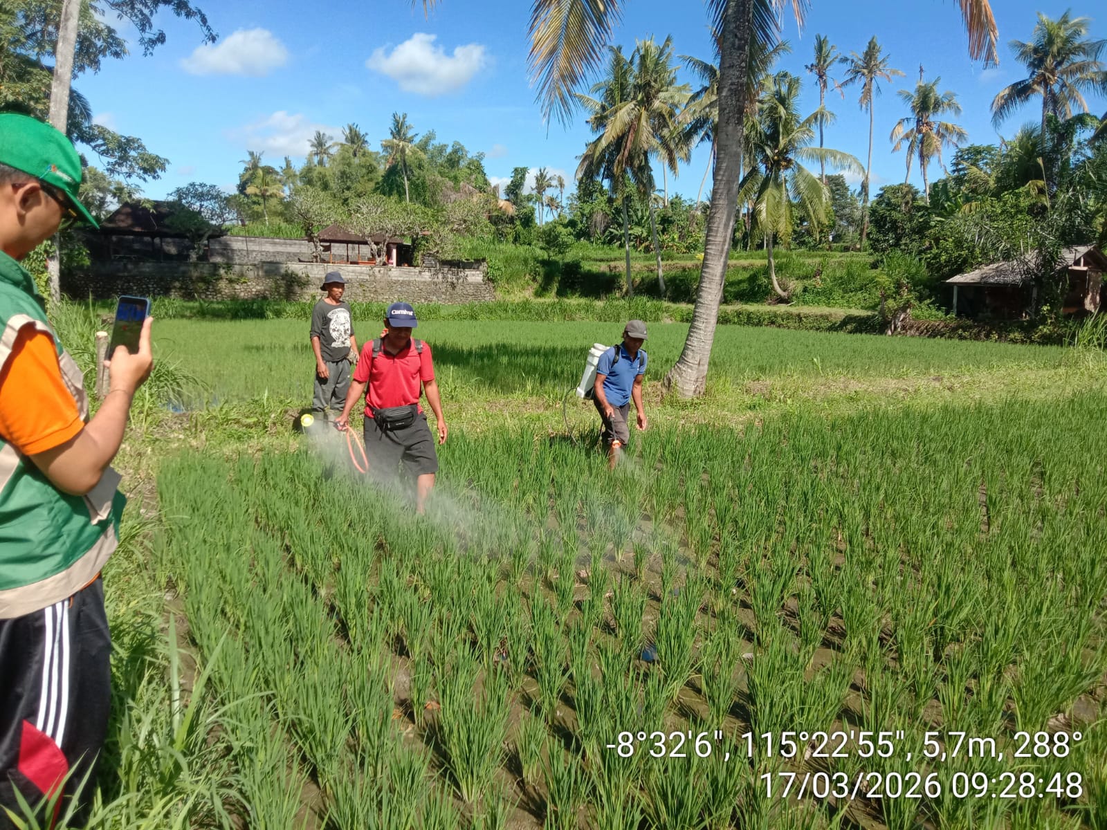 Gerakan Pengendalian (Gerdal) OPT di Subak Pau