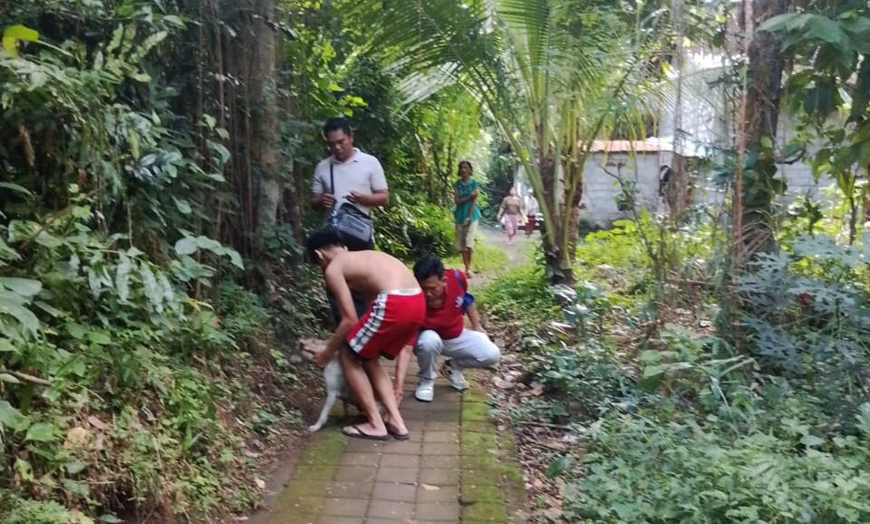 Cegah Rabies, Vaksinasi Massal di Desa Sulang: 127 Hewan Berhasil Divaksin