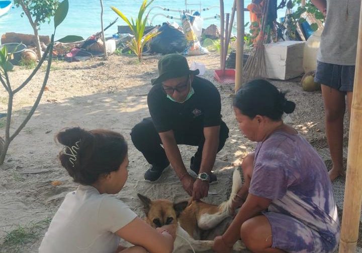 Dinas Pertanian Klungkung Rampungkan Vaksinasi Rabies Massal di Desa Ped Nusa Penida