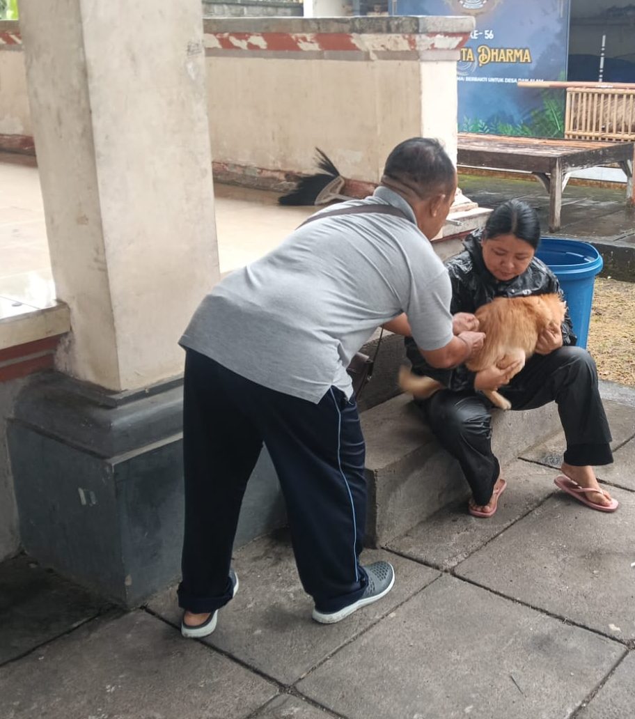 Genjot Cakupan Vaksinasi Rabies, Dinas Pertanian Klungkung Sasar Ratusan HPR di Desa Bungbungan