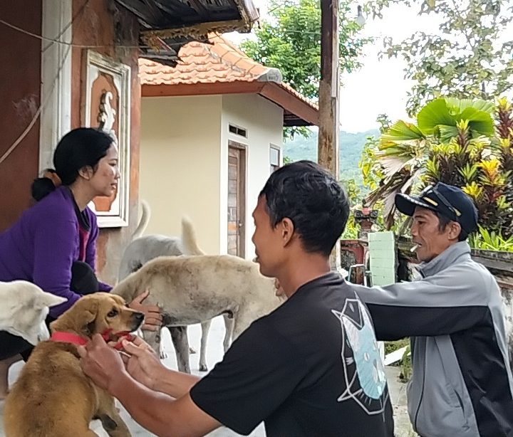 Dinas Pertanian Klungkung Gencarkan Vaksinasi Rabies di Desa Kutampi Kaler Nusa Penida