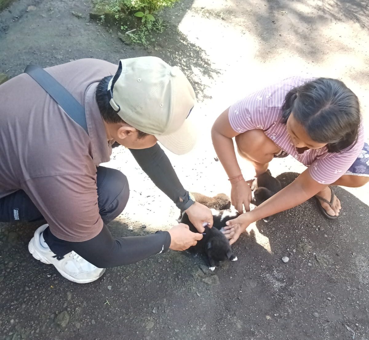 Optimalkan Capaian, Tim Dinas Pertanian Klungkung Berhasil Vaksinasi 389 HPR di Desa Nyalian