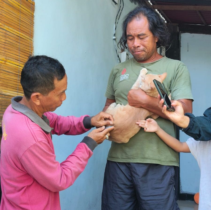 Gencarkan Pencegahan Rabies, Dinas Pertanian Klungkung Sasar Hewan Penular Rabies di Desa Tusan dan Kampung Toyapakeh