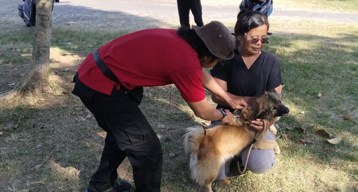 Intensifkan Pencegahan Rabies, Bidang PKH Vaksinasi 171 HPR di Semarapura Kaja