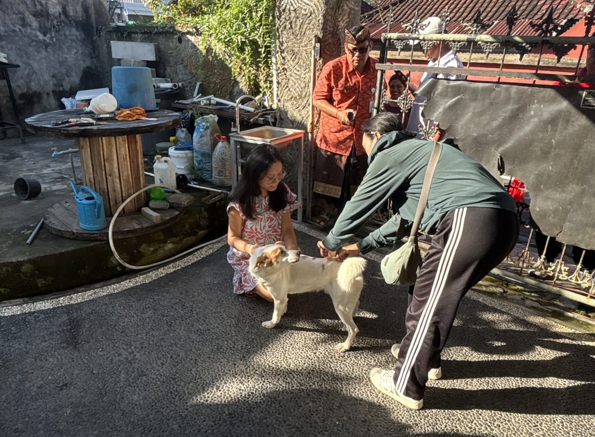 Intensifkan Pengendalian Rabies, Bidang PKH Dinas Pertanian Klungkung Sasar Kelurahan Semarapura Tengah