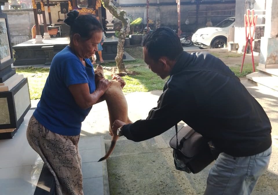Perkuat Pencegahan Rabies, Bidang PKH Dinas Pertanian Klungkung Laksanakan Vaksinasi di Desa Selisihan